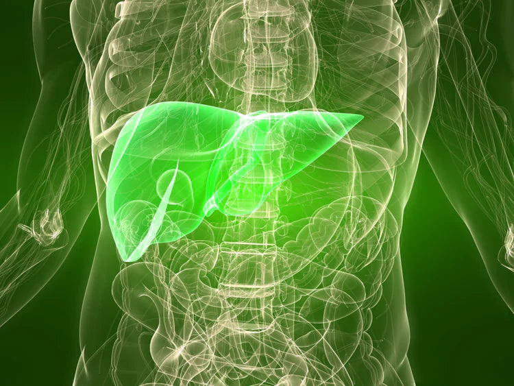 Is N-acetylcysteine good for the Liver?